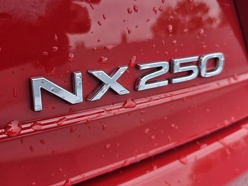 Used 2024 Lexus NX 250 FWD w/ Cold Area Package image 9