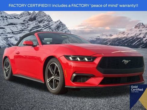 Used 2024 Ford Mustang Premium RWD image 1