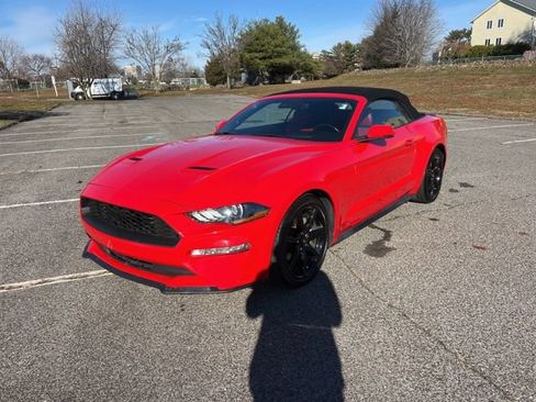 Certified 2019 Ford Mustang Premium w/ Equipment Group 201A image 4
