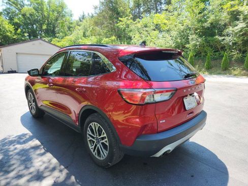 Used 2020 Ford Escape SEL AWD/4WD image 6