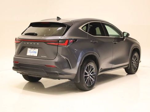 Used 2024 Lexus NX 250 FWD w/ Cold Area Package image 4
