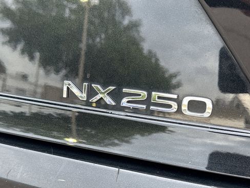 Used 2024 Lexus NX 250 FWD w/ Cold Area Package image 10