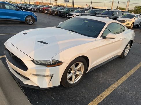 Used 2019 Ford Mustang Coupe RWD image 3