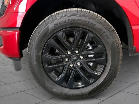 New 2025 Ford F150 XLT w/ Equipment Group 302A MID image 9