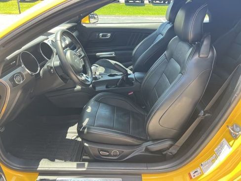 Used 2015 Ford Mustang GT Premium w/ 50 Years Appearance Package RWD image 7