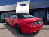 Certified 2022 Ford Mustang Premium image 3