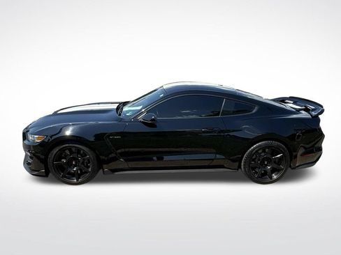 Used 2016 Ford Mustang Shelby GT350 w/ Technology Package RWD image 2