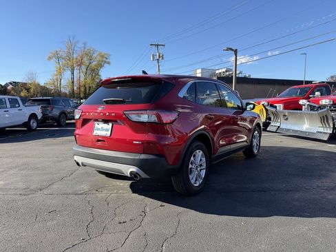 Used 2020 Ford Escape SE image 6