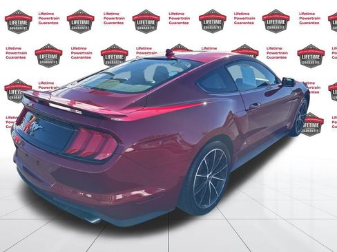 Used 2023 Ford Mustang Premium w/ Equipment Group 201A image 5