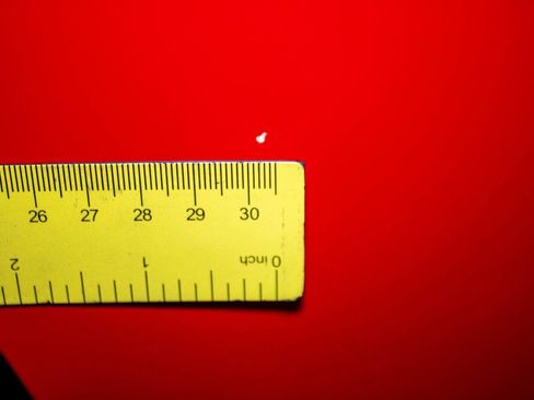 Used 2002 Ford Thunderbird Deluxe image 28