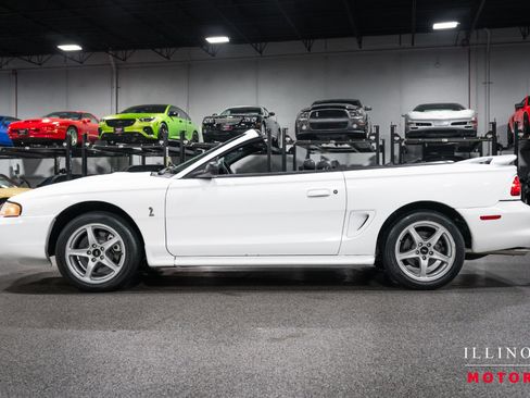 Used 1998 Ford Mustang Cobra RWD image 2