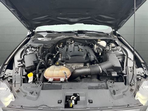 Used 2019 Ford Mustang Convertible image 14