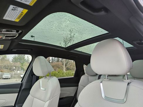 New 2026 Hyundai Tucson Limited image 19