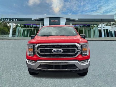 Used 2023 Ford F150 XLT w/ Equipment Group 302A High AWD/4WD image 8