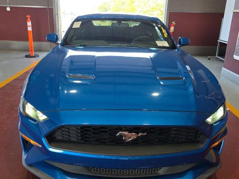 Used 2019 Ford Mustang Coupe w/ Wheel & Stripe Package RWD image 6