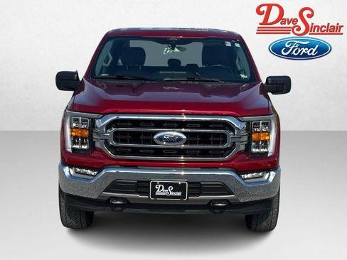 Used 2021 Ford F150 XLT w/ Equipment Group 302A High AWD/4WD image 2