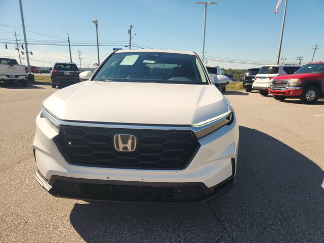 Used 2025 Honda CR-V EX-L image 4