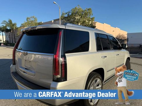 Used 2016 Cadillac Escalade Premium RWD image 5