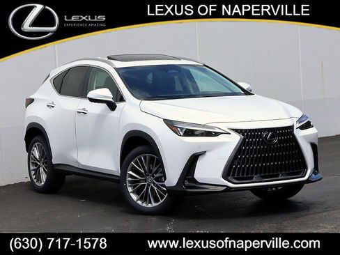 New 2026 Lexus NX 350 AWD w/ Premium Package image 1