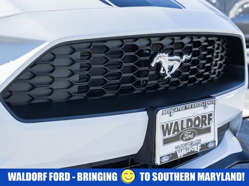 Used 2021 Ford Mustang Coupe w/ Equipment Group 101A image 12