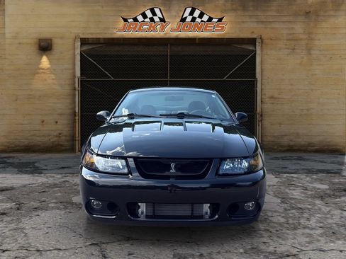 Used 2003 Ford Mustang Cobra RWD image 13