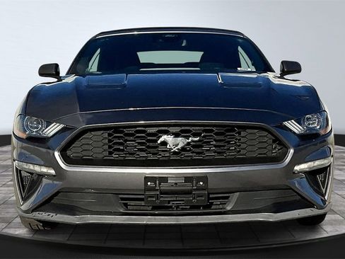 Used 2022 Ford Mustang EcoBoost w/ Equipment Group 101A image 4