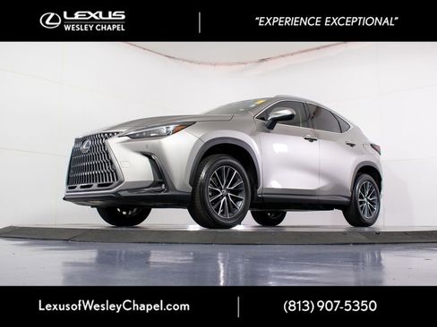 Used 2024 Lexus NX 250 FWD w/ Cold Area Package image 13