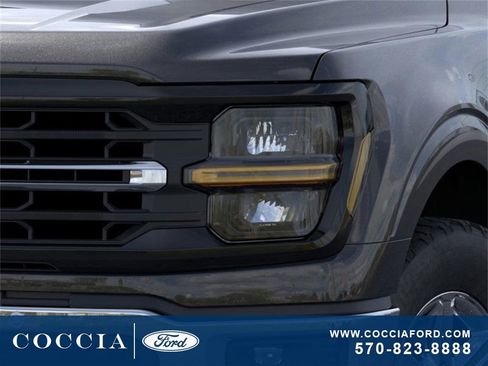 New 2025 Ford F150 XLT w/ Equipment Group 302A MID image 18