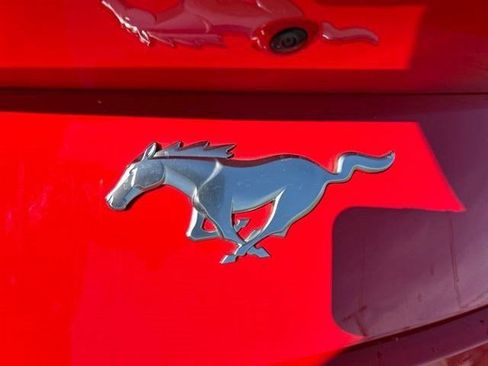 Used 2024 Ford Mustang Premium RWD image 49