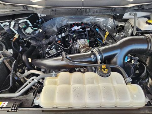 Used 2025 Ford F150 STX RWD image 31