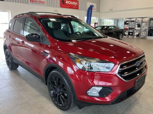 Used 2017 Ford Escape SE w/ Equipment Group 201A image 3