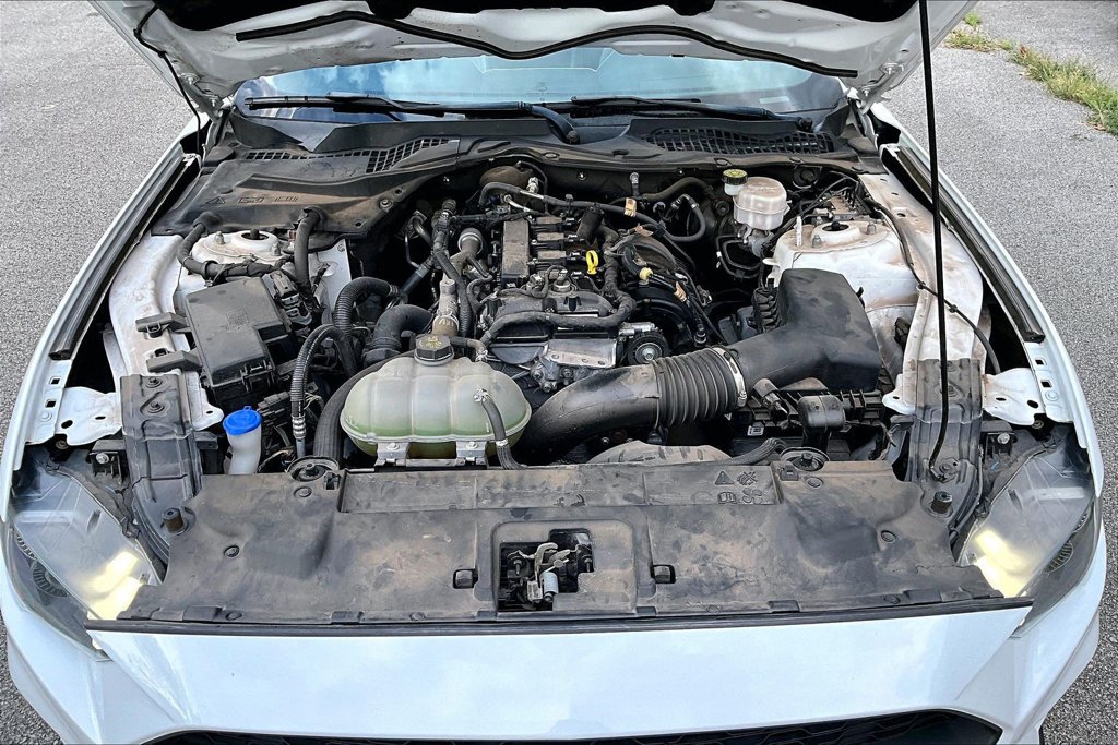 Used 2023 Ford Mustang Premium w/ Equipment Group 201A RWD image 12