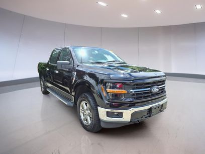 Used 2025 Ford F150 XLT w/ Equipment Group 301A Standard