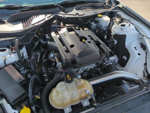 Used 2019 Ford Mustang Coupe RWD image 28