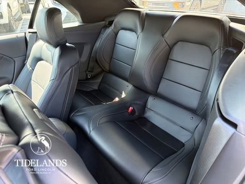 New 2026 Ford Mustang Premium w/ Mustang Nite Pony Package image 18