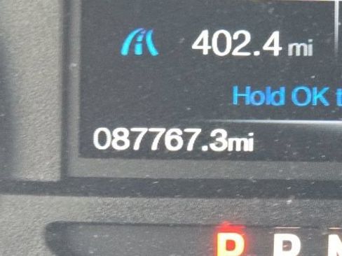 Used 2019 Ford F150 XLT w/ Equipment Group 302A Luxury AWD/4WD image 25