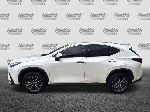 Used 2024 Lexus NX 350h AWD w/ Cold Area Package image 7