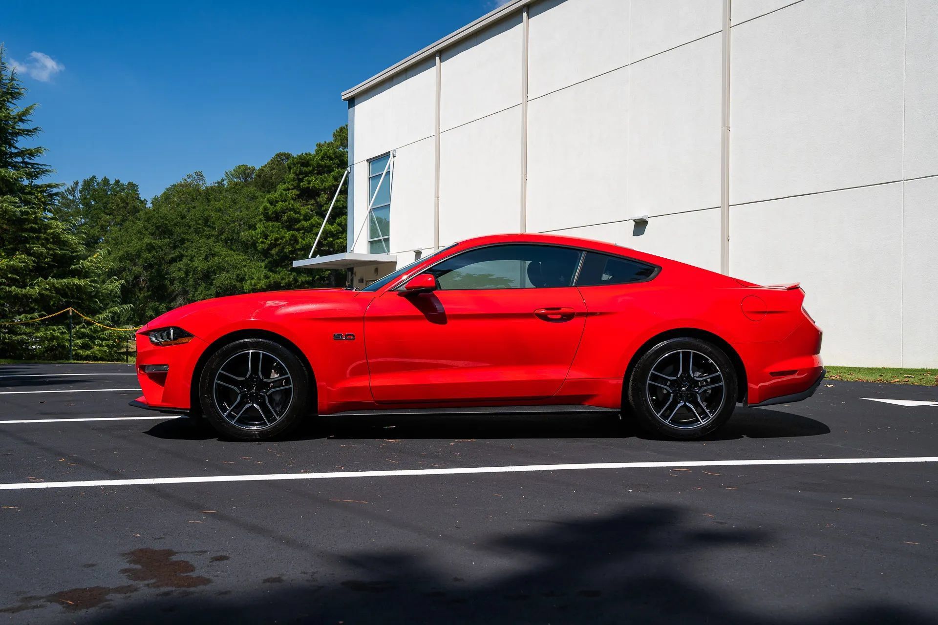 Used 2019 Ford Mustang GT w/ Equipment Group 301A RWD image 4