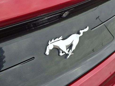 Used 2018 Ford Mustang Premium image 10