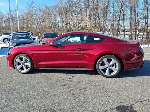 Used 2019 Ford Mustang Premium w/ Equipment Group 201A image 5