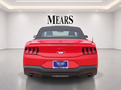 Used 2024 Ford Mustang Premium