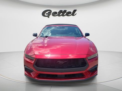 Used 2024 Ford Mustang Premium w/ Mustang Nite Pony Package RWD image 2