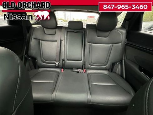 Used 2024 Hyundai Tucson Limited AWD/4WD image 12