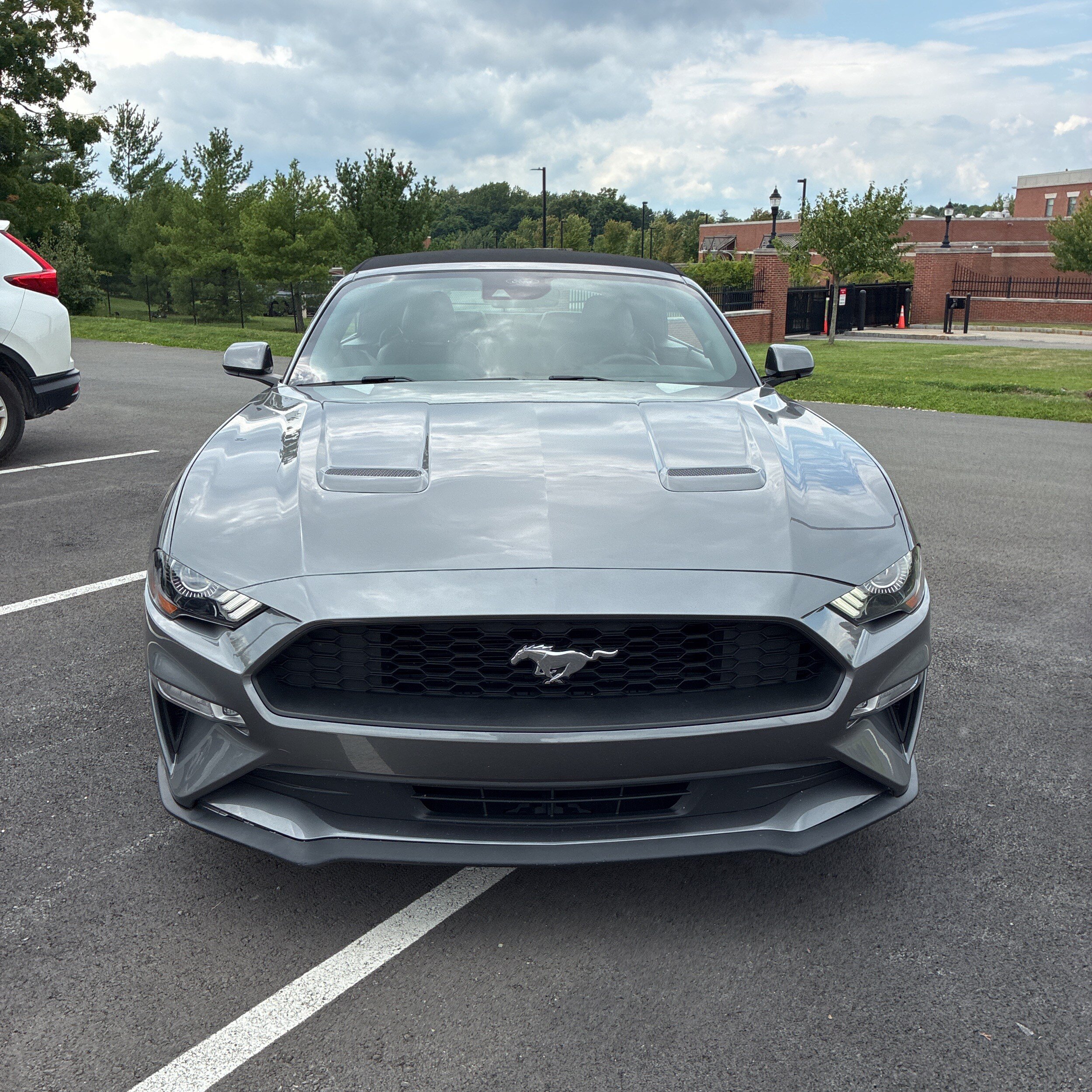 Used 2021 Ford Mustang Premium RWD image 14
