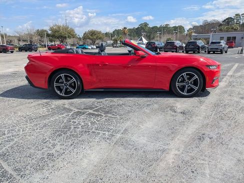 Used 2024 Ford Mustang Premium image 3