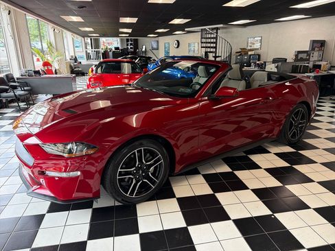 Used 2020 Ford Mustang Convertible w/ Equipment Group 101A RWD image 1