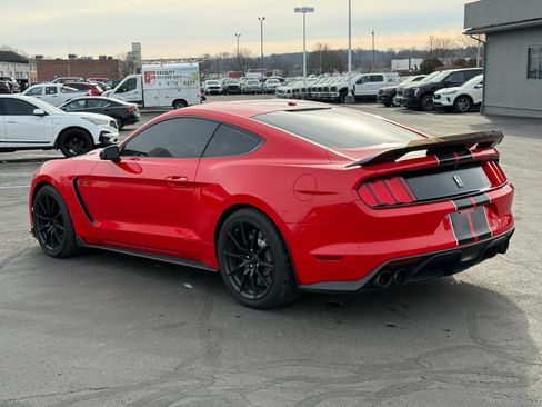 Used 2016 Ford Mustang Shelby GT350 w/ Technology Package image 5