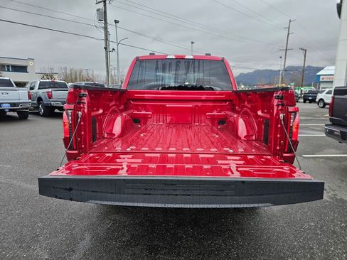 New 2025 Ford F150 STX w/ LOBO Package image 5