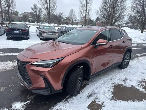 Certified 2025 Lexus NX 350 AWD w/ Cold Area Package image 7