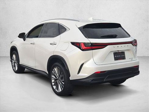 Used 2025 Lexus NX 350 AWD w/ Cold Area Package image 8
